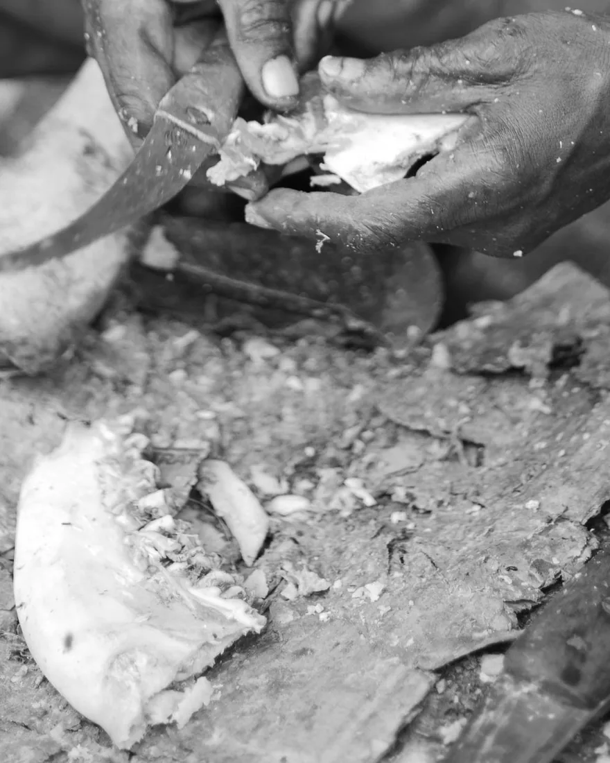 Manos sujetando una cuchilla mientras desbastan un trozo de hueso, con virutas y restos de material sobre el banco